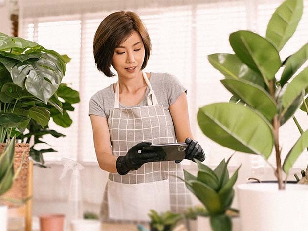 Woman using plant identification app.