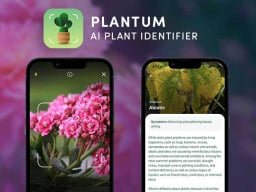 Plant photo with description.