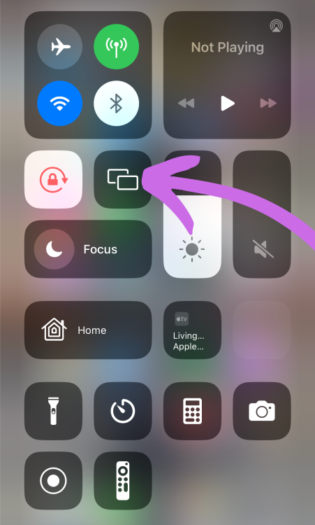 A screenshot showing the iPhone Control Centre with a purple arrow pointing to the Screen Mirroring icon.